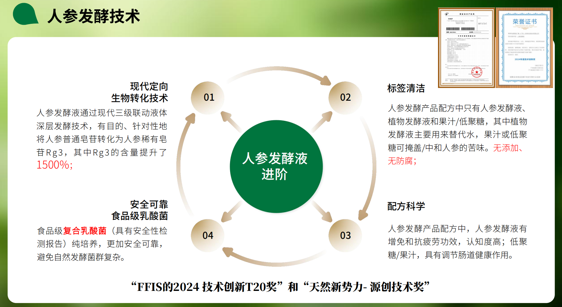 人參發(fā)酵技術2 人參發(fā)酵技術2